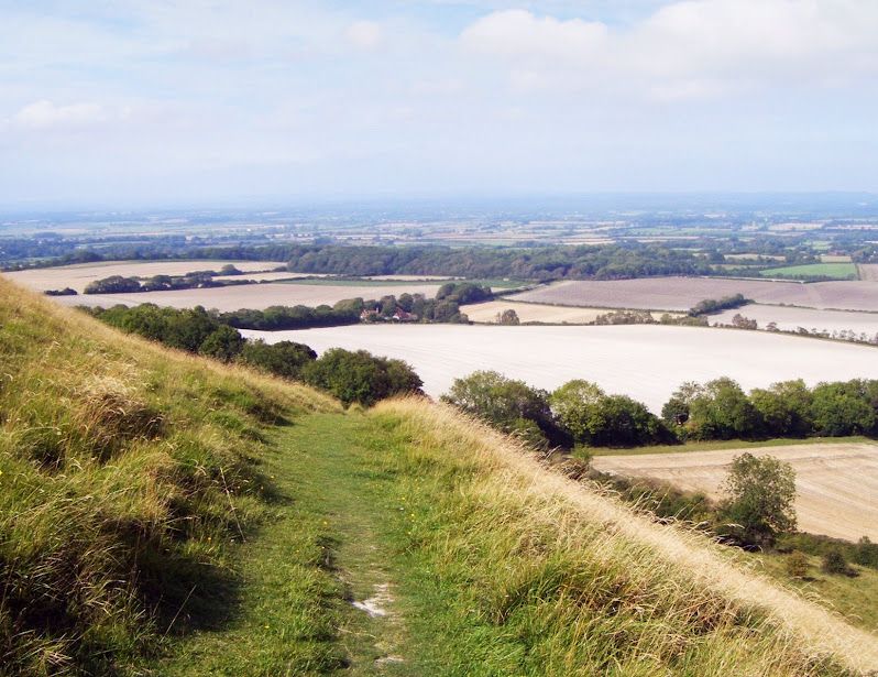 View from North Downs, Ranmore